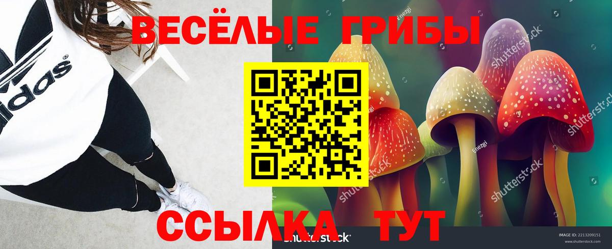Псилоцибиновые грибы прущие грибы Одинцово